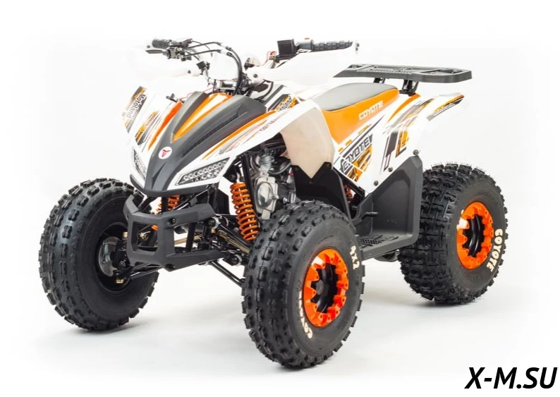 Квадроцикл MOTOLAND (МОТОЛЕНД) 125 COYOTE Квадроцикл MOTOLAND (МОТОЛЕНД) 125 COYOTE
