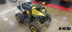 Квадроцикл YACOTA RENEGADE PRO-SPORT Б/У