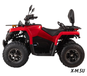 Квадроцикл Bizon YK200 BASIC CARB