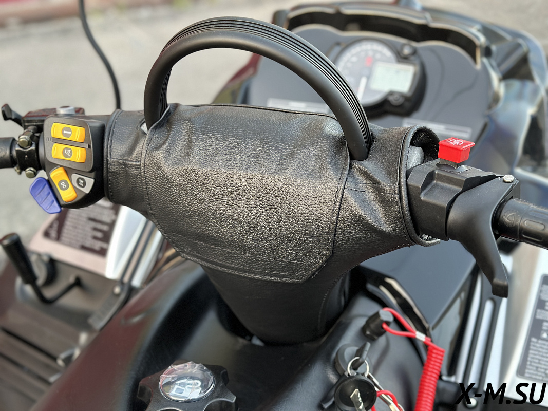 Снегоход Русская механика РМ TAYGA PATRUL 800 SWT XE