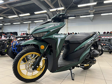 Скутер PROMAX INFERNO 250 (49)