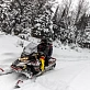 Снегоход AODES Siberiacross 1000 WT 508mm LCD 6.8