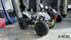 Квадроцикл BSE XT1 PRO SPORT