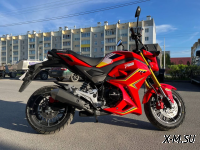 Мотоцикл PROMAX STRYKER 200(49) 2.0