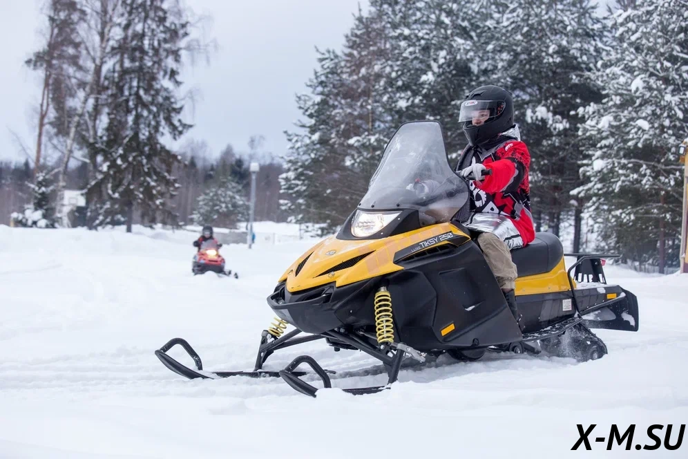 Снегоход Русская механика РМ TIKSY 250 ЛЮКС