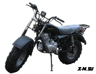 Мотоцикл внедорожный СКАУТ-3VR-250 колеса 12"