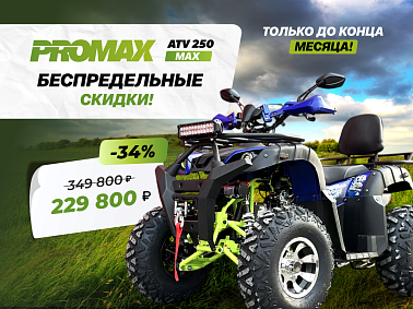Квадроцикл PROMAX ATV 250 MAX (2025)