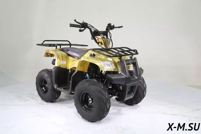 Квадроцикл MOTOLAND (МОТОЛЕНД) 110 RIDER