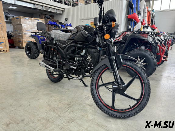 Мопед PROMAX ALPHA TOURIST 150 (49)