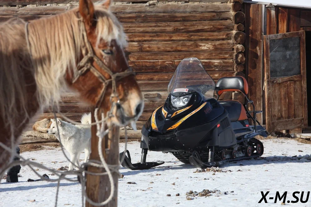 Снегоход Русская механика РМ TAYGA PATRUL 550 SWT