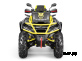 Квадроцикл AODES Pathcross ATV650L MUD PRO EPS 2025г.