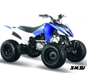Квадроцикл ATV Pantera 125
