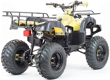 Квадроцикл PROMAX ATV 300