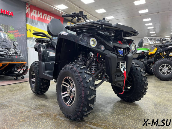 Квадроцикл PROMAX RENEGADE 280 LONG WINCH PRO (2025)