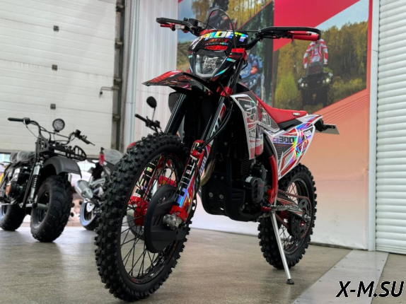 Кроссовый мотоцикл FAIDET CB300RL MAX WP