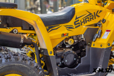 Квадроцикл TAO MOTORS ATV SHARK (125cc) - L