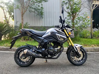 Мотоцикл PROMAX MSX200 CROM (49)